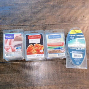 Variety of candle melts